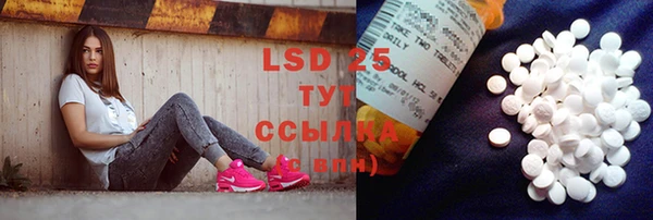 ПСИЛОЦИБИНОВЫЕ ГРИБЫ Нея