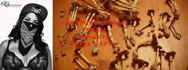 соль ск Новозыбков